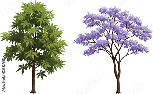 Green leafy fruit tree and purple flowering jacaranda tree illustration, botanical nature design, seasonal garden artwork, decorative outdoor forest plant