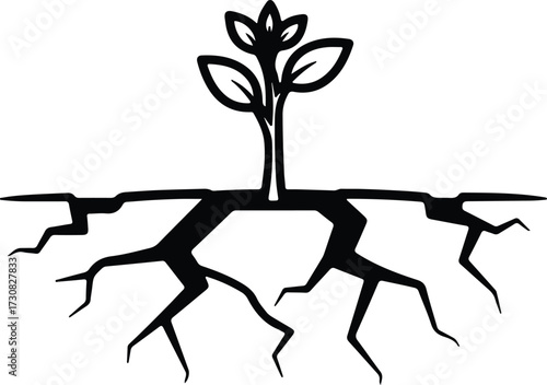 Vector Seedling growing in cracked ground silhouette Illustrator