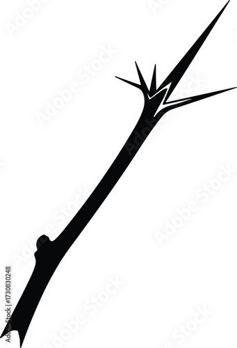 Vector Thorns Branch Sharp Prickly Twig Silhouette Illustrator