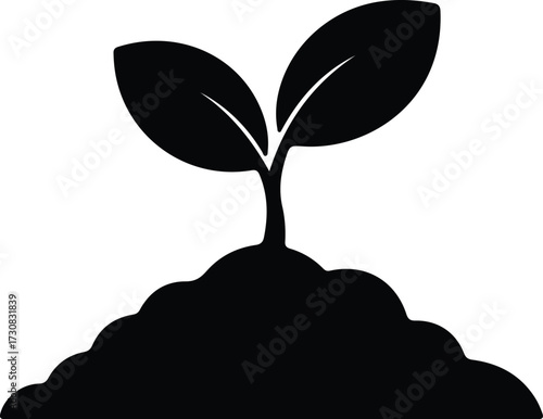 Vector Young plant growing from soil silhouette Illustrator
