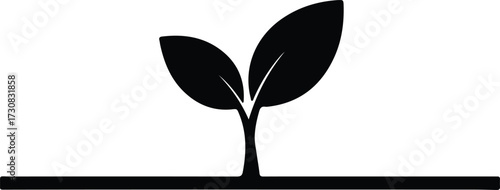 Vector Young plant seedling growing in soil silhouette Illustrator