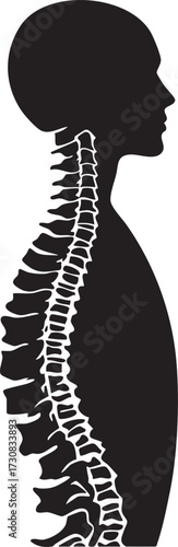 Human spine silhouette vector with detailed vertebrae in profile view for anatomy, posture, and spinal health awareness design