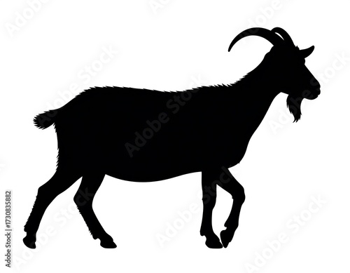 Silhouette of a Goat.