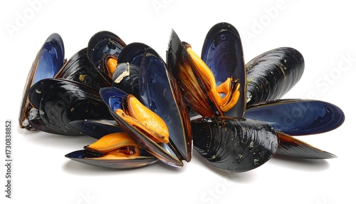 Fresh mussels on white background