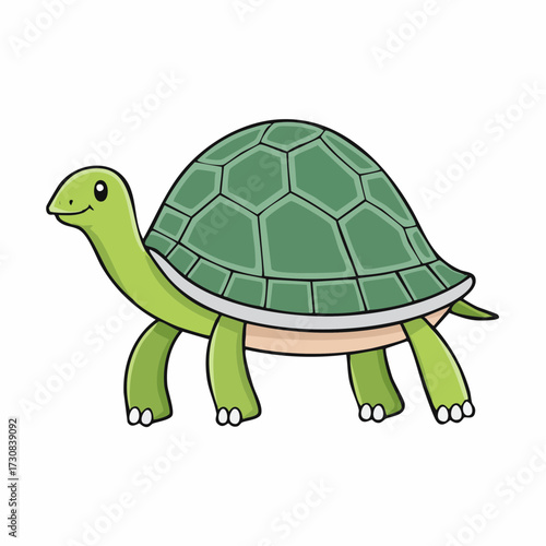 funny turtle cartoon