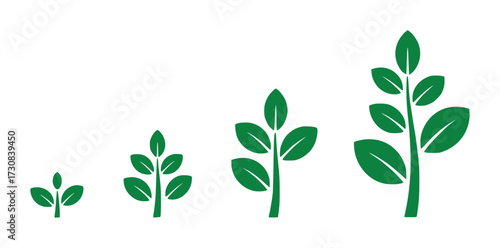 Four Stages of Plant Growth Seedling to Mature Plant Iconography