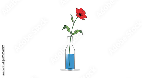 A single red poppy in a blue glass vase on a white background.