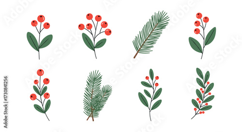 Hand drawn winter berry and pine branch illustrations for seasonal decoration.