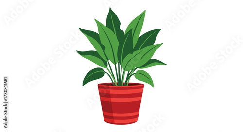 A vibrant green potted plant with broad leaves sits in a red striped pot.