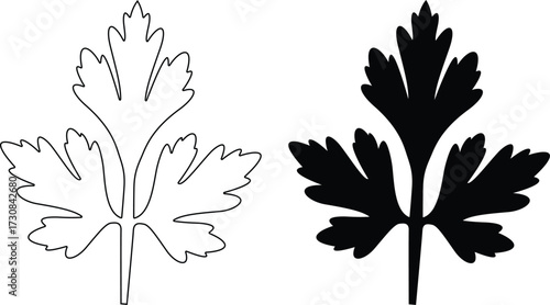 Two stylized parsley leaves one outlined and one black silhouette isolated on white background