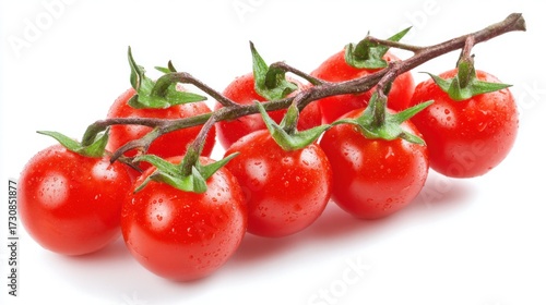 Wallpaper Mural A bunch of bright red cherry tomatoes clings to their vine glistening with water droplets in a summer garden. These tomatoes are perfect for salads or sauces. Torontodigital.ca