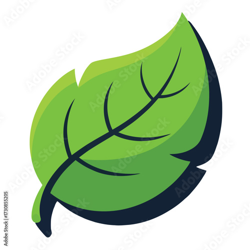 Fresh green leaf with shadow, nature and ecological symbolism, botanical element
