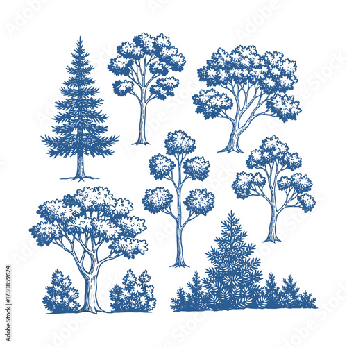 A collection of hand-drawn blue ink sketches depicting various types of trees and shrubs, including conifers and deciduous trees, in a vintage engraved style.
