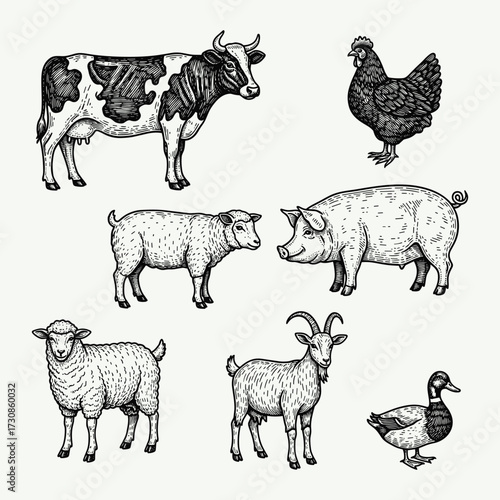 Vintage engraved style illustration set of various farm animals including a cow, chicken, pig, sheep, goat, and duck.