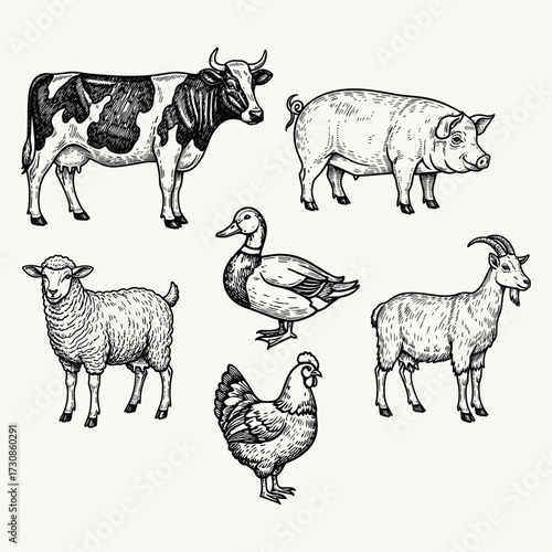 Engraved illustration of various farm animals including a cow, pig, sheep, duck, chicken, and goat.