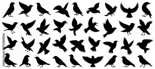 bird silhouette vector flying perching illustration