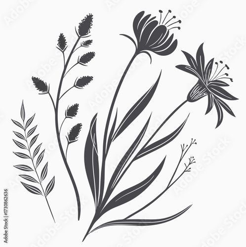 Elegant Botanical Silhouettes A Study in Contrast and Form Depicting Floral Diversity in a Minimalist Style