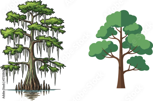 Bald Cypress and Deciduous Tree Comparison with Moss, Foliage, Branches, Swamp Habitat and Stylized Forest Illustration for Botanical Diversity