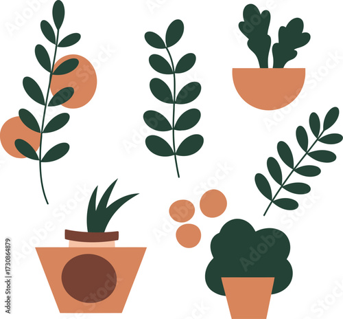 Modern botanical illustration minimalist houseplants home decor elements vector