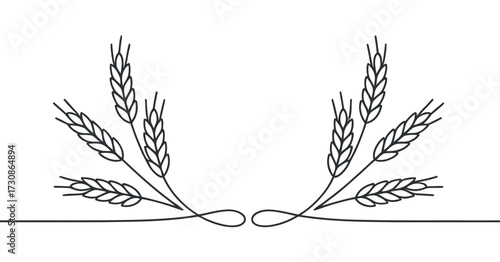 Wheat Line Drawing Illustration Minimalistic Grain Design