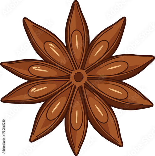 Star anise spice food ingredient isolated vector
