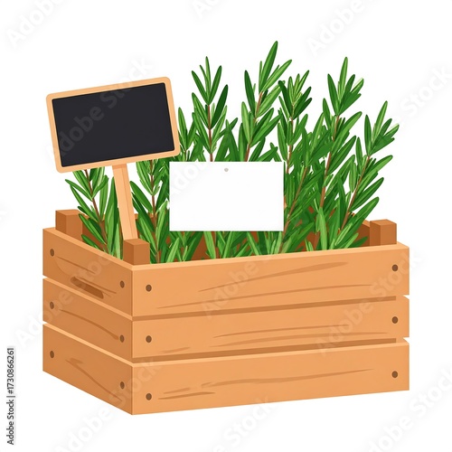 Fresh Rosemary Herbs in Wooden Crate.