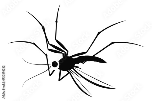 Illustration of a dead mosquito with long legs and wings in black vector style for stock use