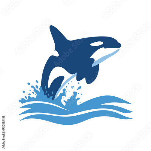 Stylized Orca Jumping Out of Ocean Water with Splash and Waves. Marine Wildlife, Killer Whale Vector Illustration.