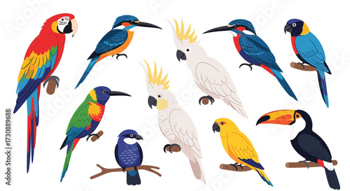 A diverse collection of vibrant tropical birds perched on branches.