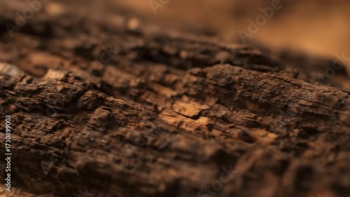 Wallpaper Mural Neutral Soft Focus Brown Cork Texture Torontodigital.ca