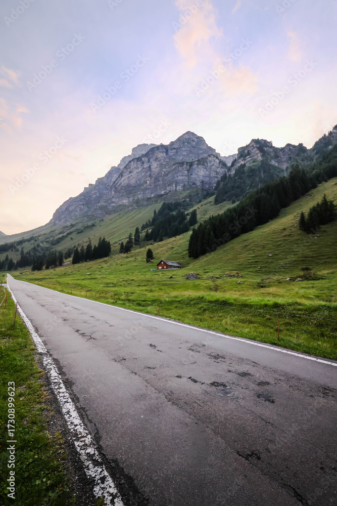 Naklejka premium carretera de alpes suizos, hermosa vista