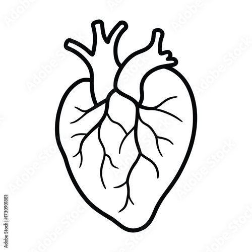 Stylized black and white line drawing of a human heart with visible arteries.