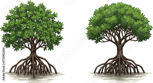 Mangrove trees with elevated root systems in muddy wetland habitat, tropical forest vegetation illustration for ecological conservation and coastal protection themes