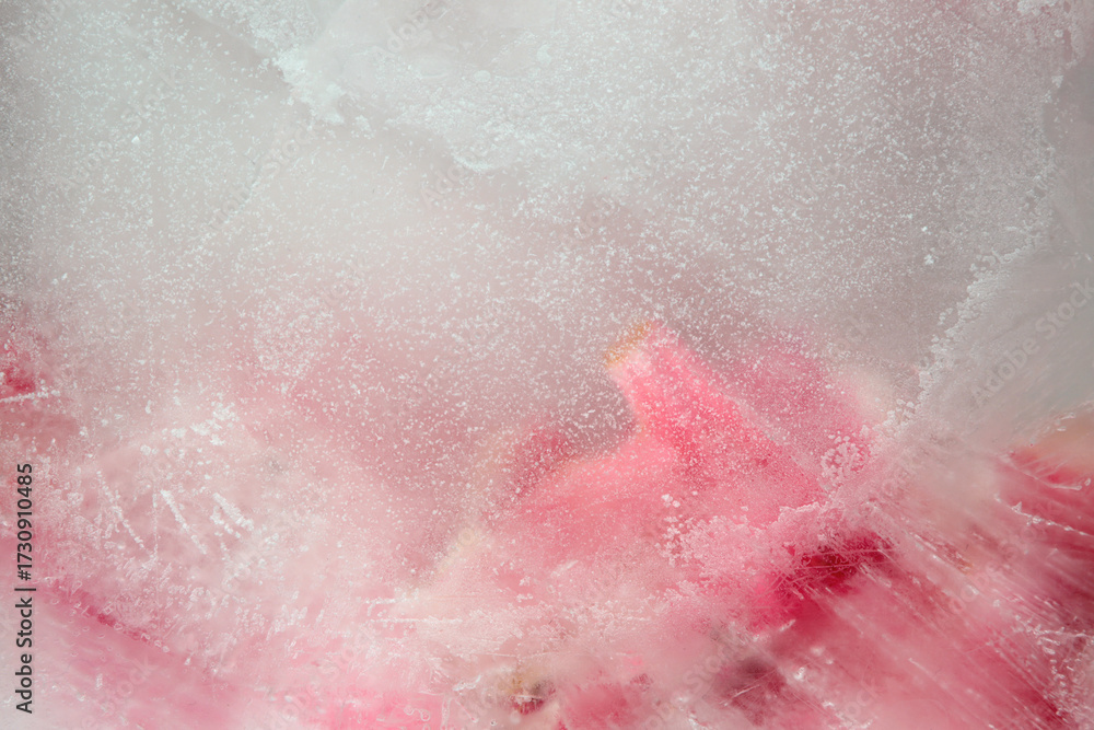 Fototapeta premium Smoke soft focus pink flower petal through glass with frozen ice. Abstract natural blur wet background.