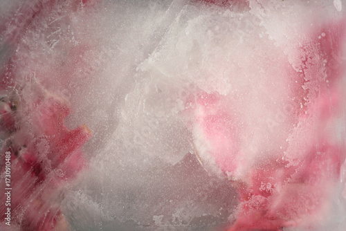 Smoke soft focus pink flower petal through glass with frozen ice. Abstract natural blur wet background.