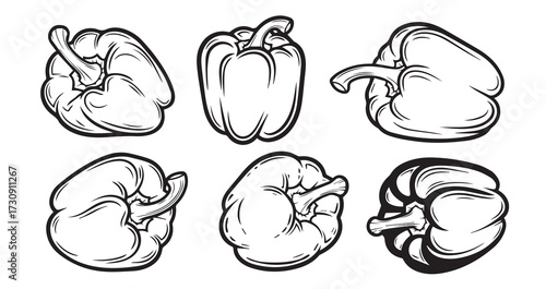 Bell Pepper (Capsicum) Vegetable Line Art Minimal Outline Drawing