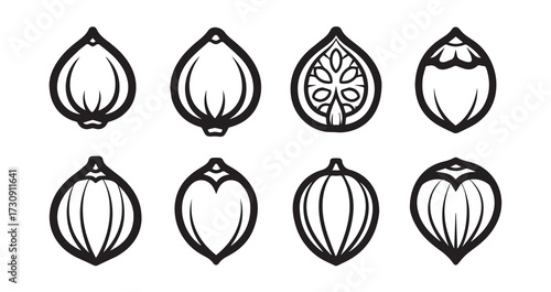 Betel Nut (Areca) Fruits Line Art Organic Food Vector Design