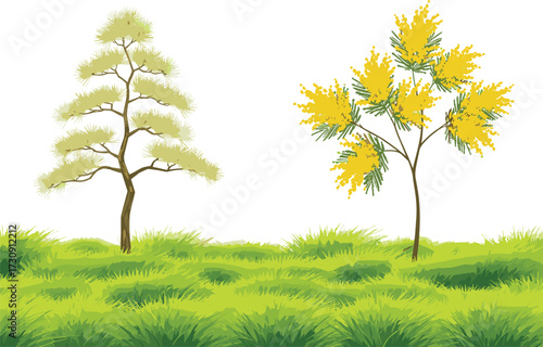 tree, foliage, blossom, seasonal, coniferous, evergreen, deciduous, flowering, ornamental, yellow, trumpet, nature, landscape, vector, illustration, green, trunk, contrast, flora, comparison