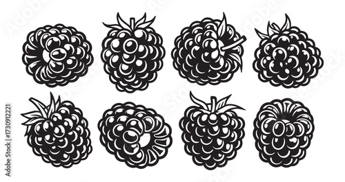 Blackberry Fruits Line Art Elegant Botanical Drawing