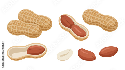 Group of peanuts whole shelled and unshelled against a white background providing a source of protein and healthy fats for snacktime