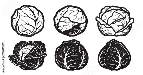 Cabbage Vegetable Line Art Organic Food Design