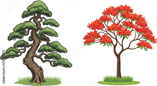 tree, foliage, blossom, seasonal, bonsai, evergreen, deciduous, flowering, ornamental, nature, landscape, vector, illustration, green, red, trunk, contrast, growth, design, flora, comparison