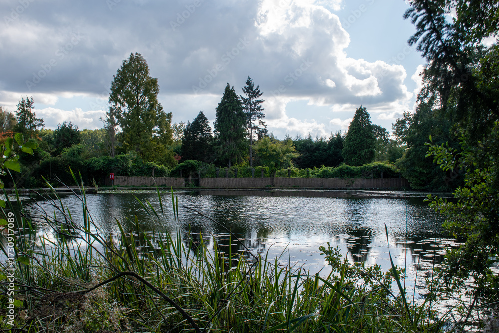 Obraz premium A landscape with a small lake surrounded by trees with reflection on water.