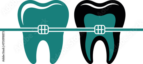 Healthy bright tooth contrasted with decayed dark tooth, both with orthodontics