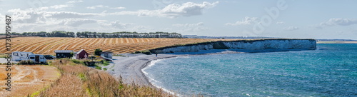 Golden fields meet the endless blue, where land leans gently into the Baltic’s embrace. A horizon painted with cliffs and clouds feels both vast and intimate, like nature’s whispered poem.