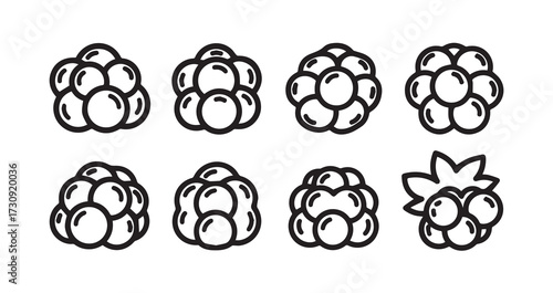 Cloudberry Fruits Line Art Hand Drawn Fruit Outline