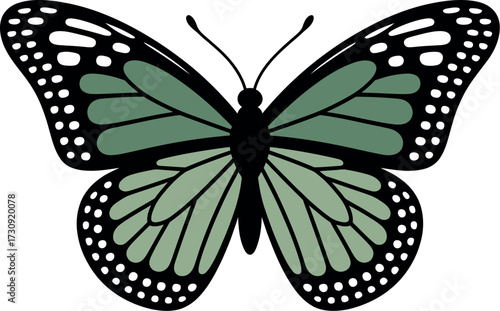 Delicate monarch butterfly with intricate wing patterns and soft green hues