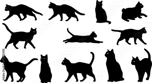 Set black cats, isolated on white background. Vector illustration, Halloween decorative elements. Feline silhouettes, black cat - for logo of homeless