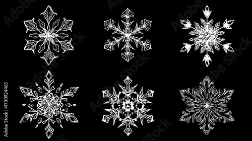 Intricate white snowflakes collection on black background