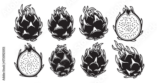 Dragon Fruits Line Art Minimal Outline Drawing